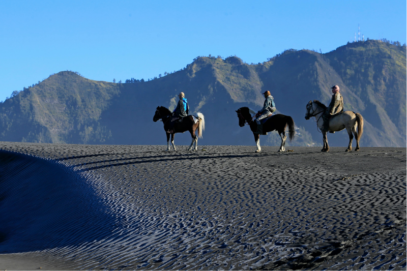 WauHub Trip to Bromo