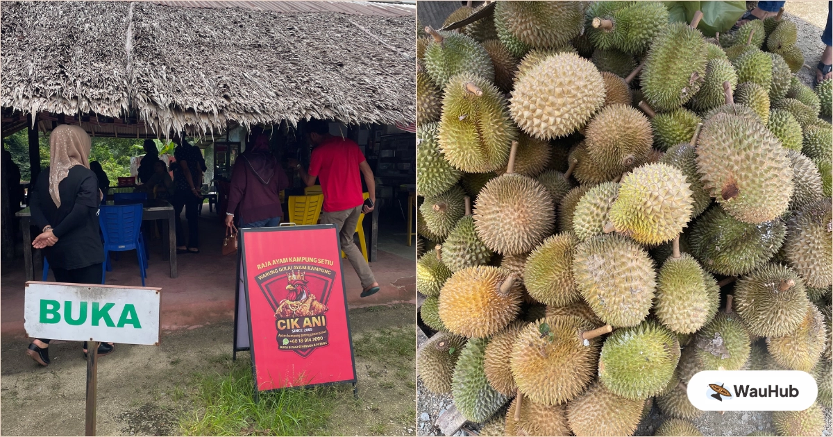 Cik Ani Raja Ayam Kampung Setiu