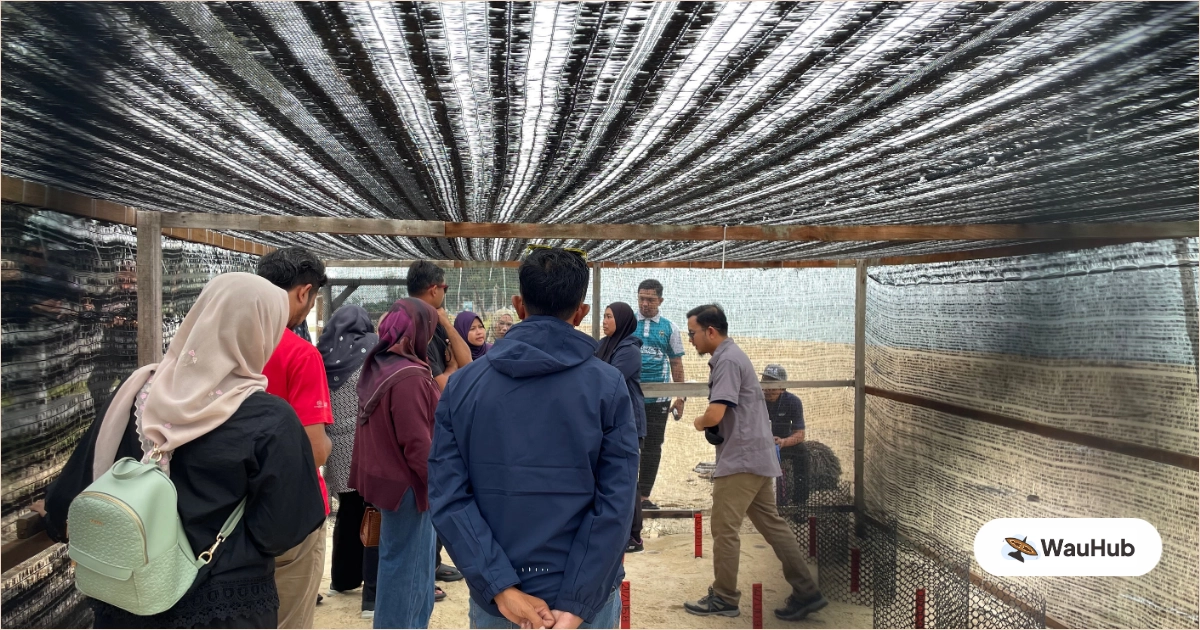 Expert explaining the turtle conservation process
