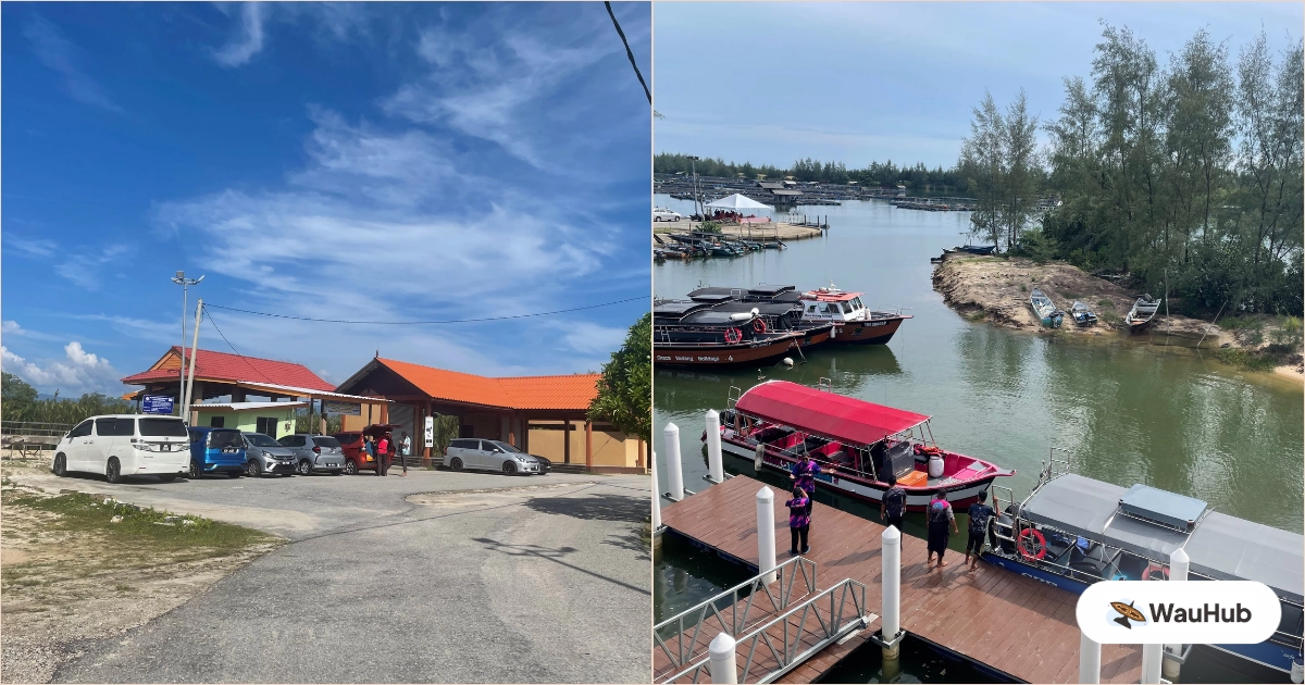 Jetty at Setiu Wetland